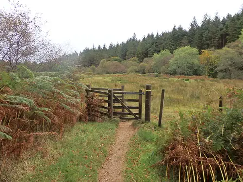 Gate leading to a field