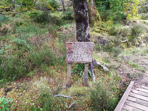 Fairy Glen walk