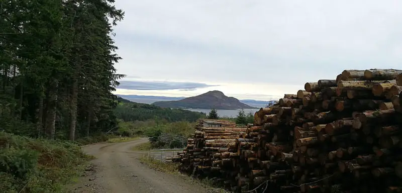 View of Holy Island