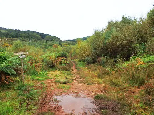 Fairy Glen