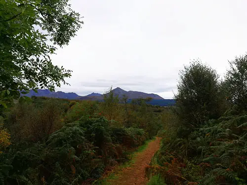 Fairy Glen