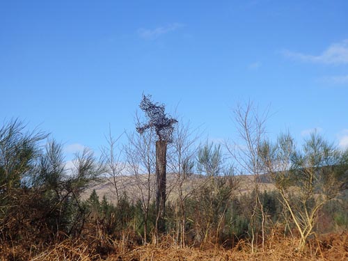 Sculptures at Lochan Spling