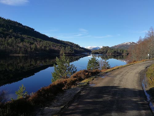 Glen Affric Views