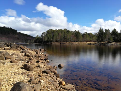 Glen Affric