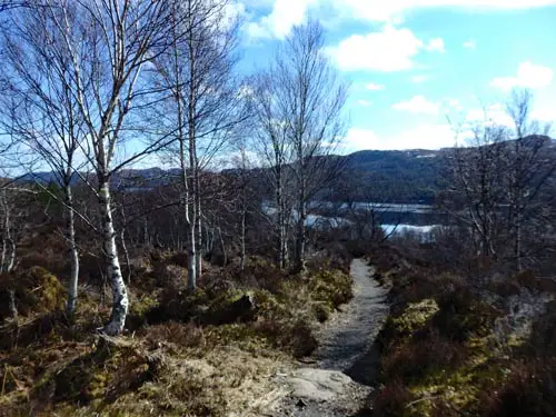 Glen Affric