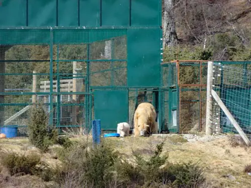 Highland Wildlife Park