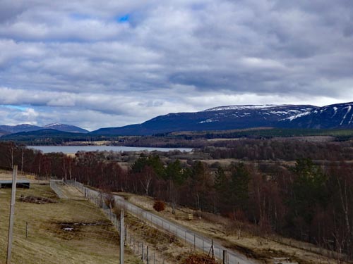 Highland Wildlife Park