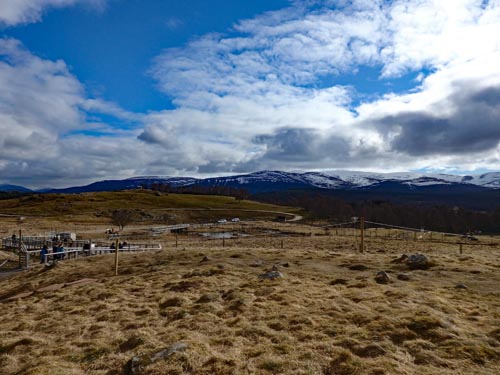 Highland Wildlife Park