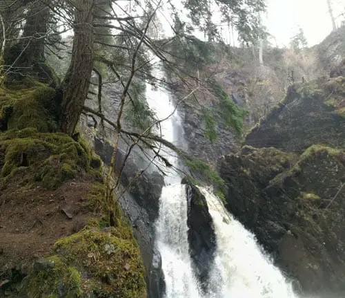 Plodda Falls