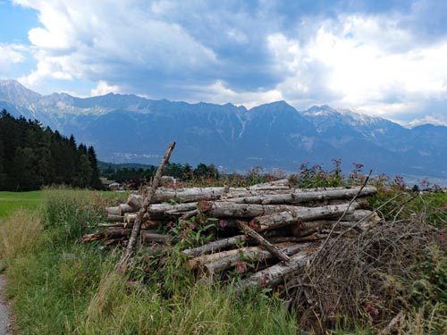 Logs in foreground with mountains in distance