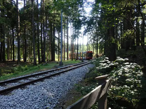 Forest tram from Igls to Innsbruck