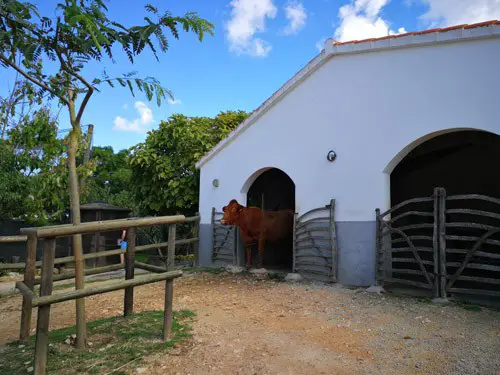 Menorca Zoo