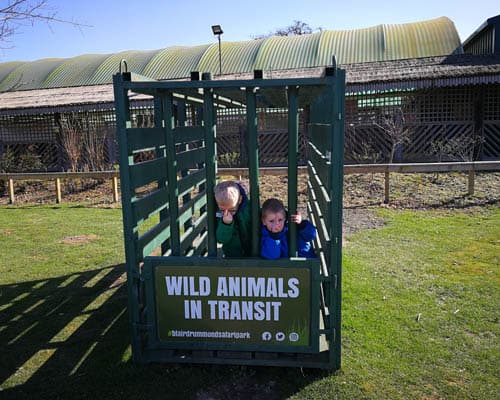 Kids inside the metal animal carrier