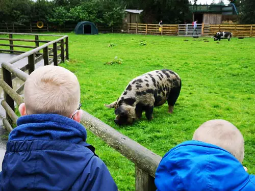 Blair Drummond Safari and Adventure Park