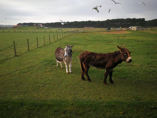 East Links Family Park