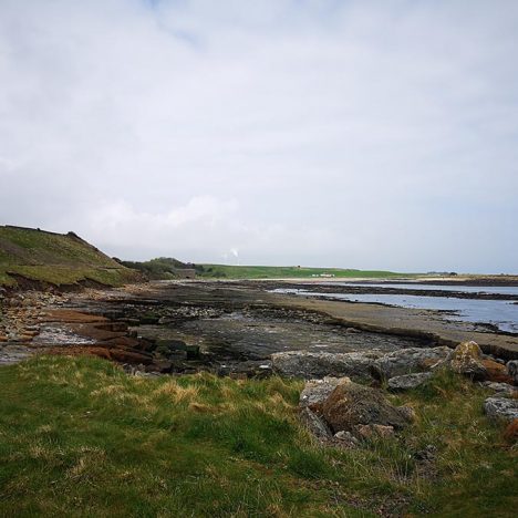 Tantallon Castle With Kids & Dogs