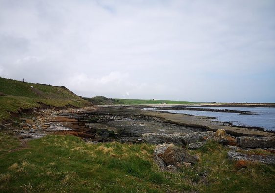 John Muir Link East Lothian