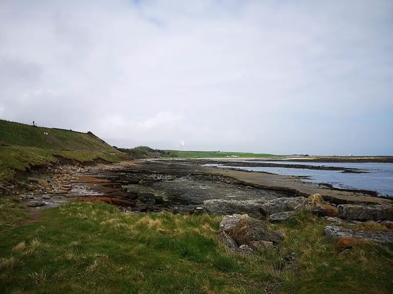 John Muir Link East Lothian