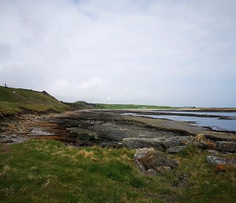 John Muir Link East Lothian