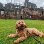 Bothwell Castle