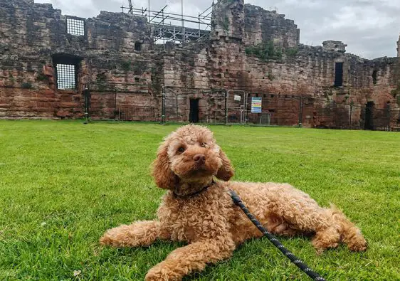 Bothwell Castle