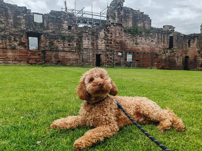 Bothwell Castle